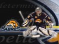 /album/nhl-teams-wallpapers/a0607-miller-1024-jpg/